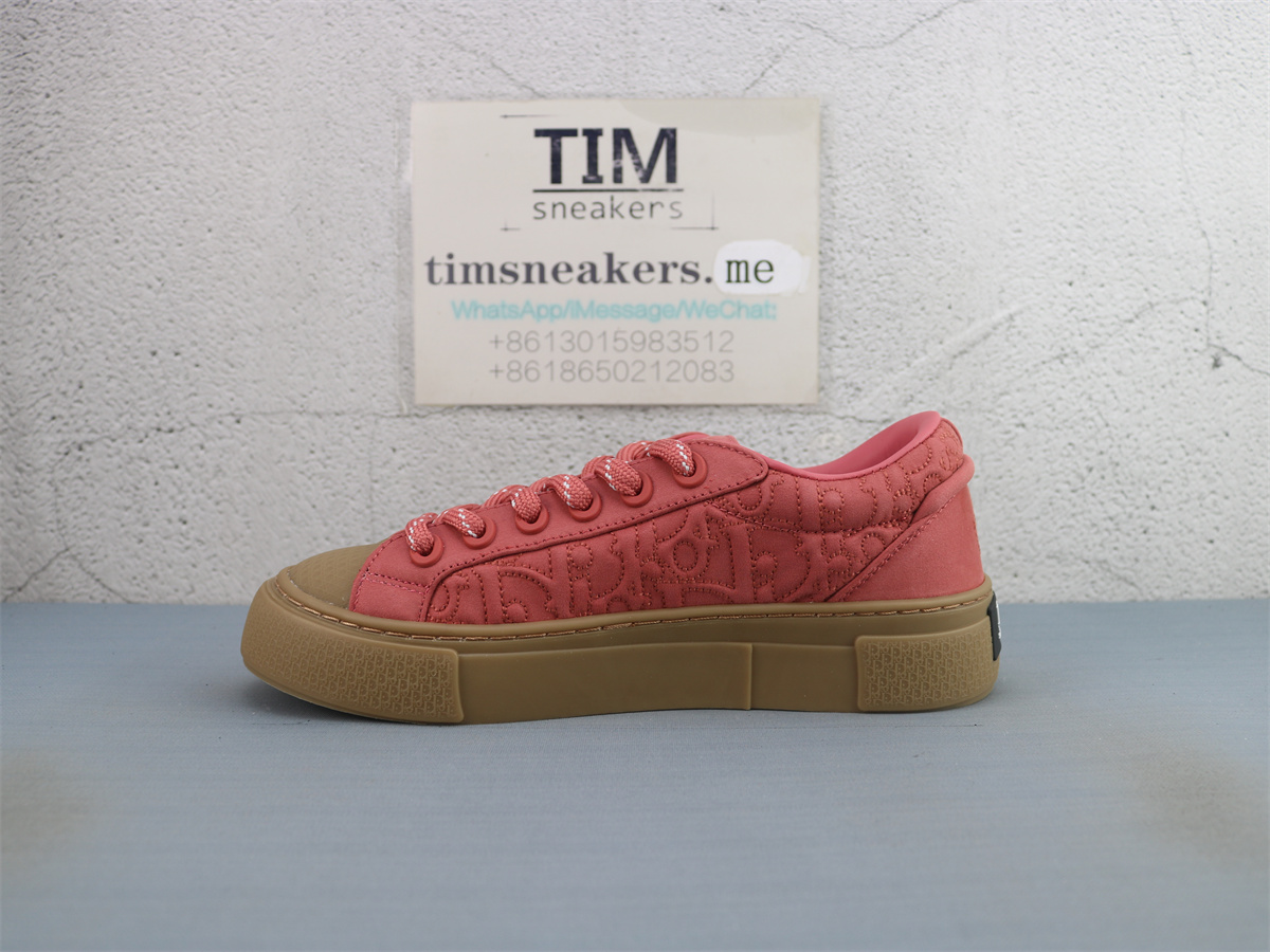 Stone Island x Dior B33 Skateboard Shoes Low-Top Red